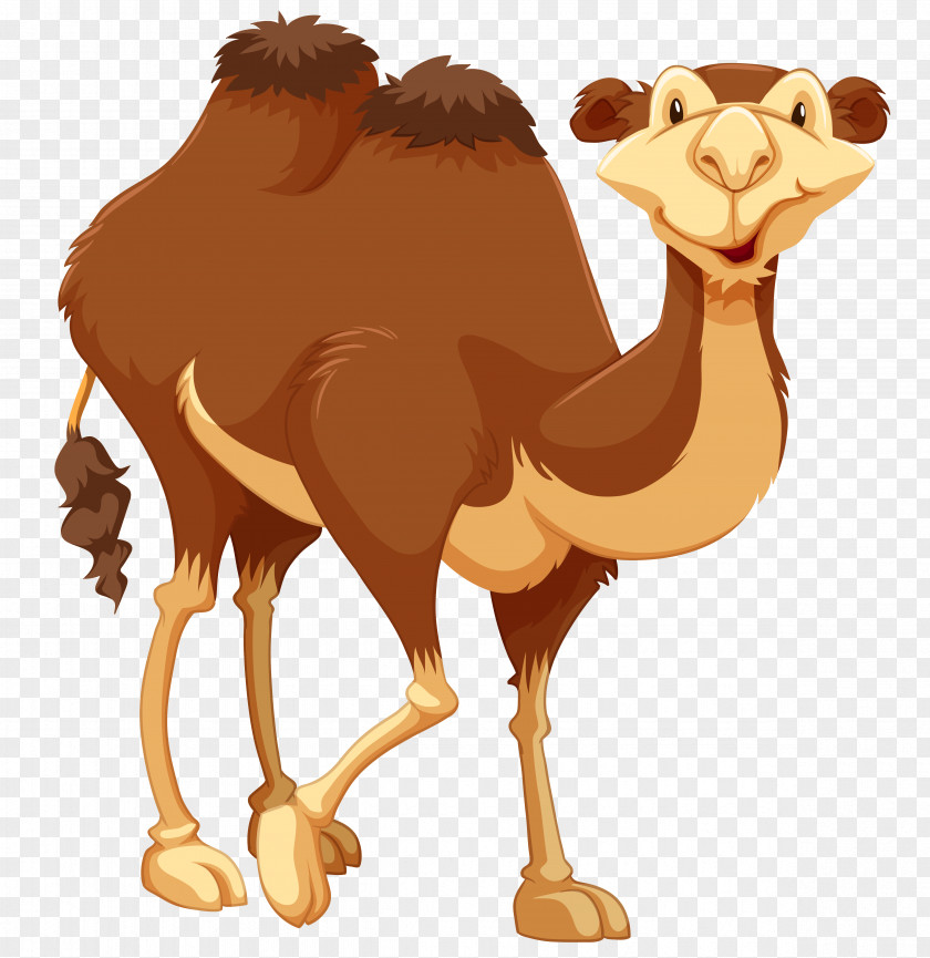 Camels Camel Royalty-free Stock Photography Drawing PNG