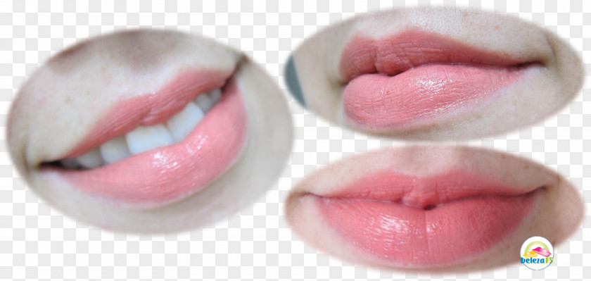Color Collection Coral Lipstick Lip Gloss Eyelash PNG