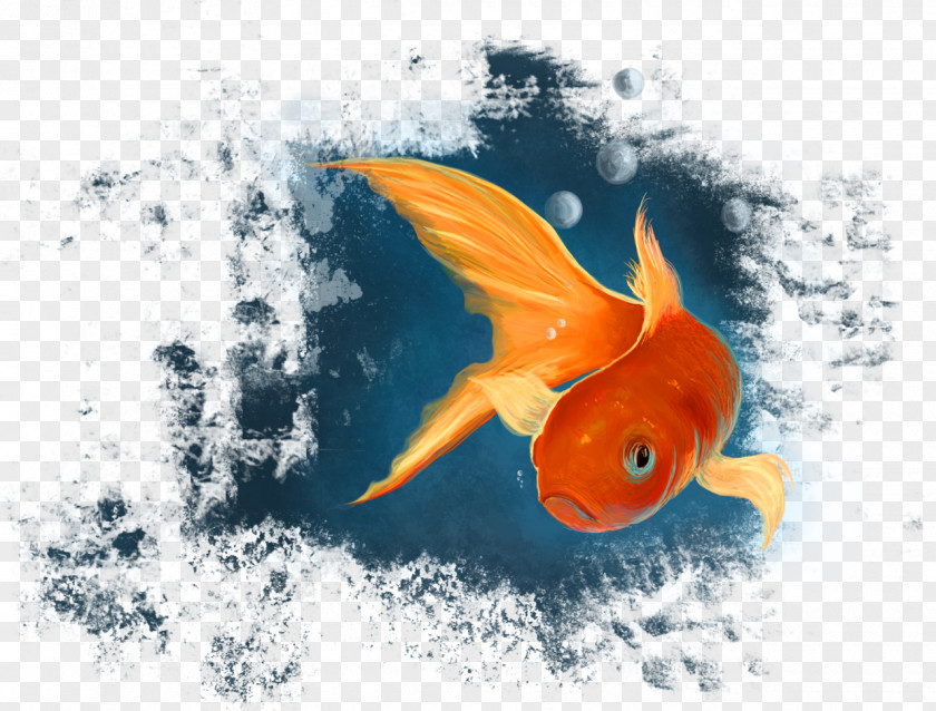 Computer Goldfish Koi Desktop Wallpaper Marine Biology PNG