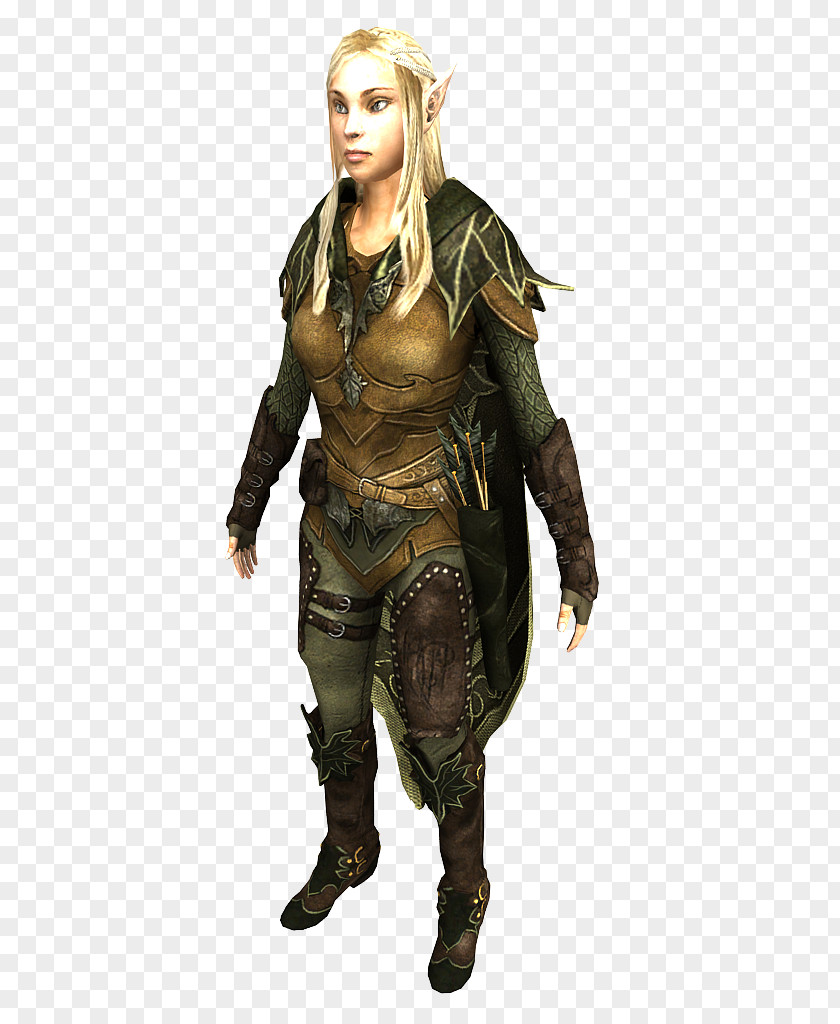 Dungeons And Dragons & Dragons: Daggerdale Rogue Character Costume PNG