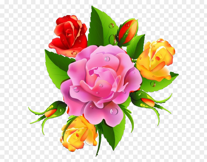 Garden Roses Flower Bouquet Cabbage Rose Cut Flowers PNG