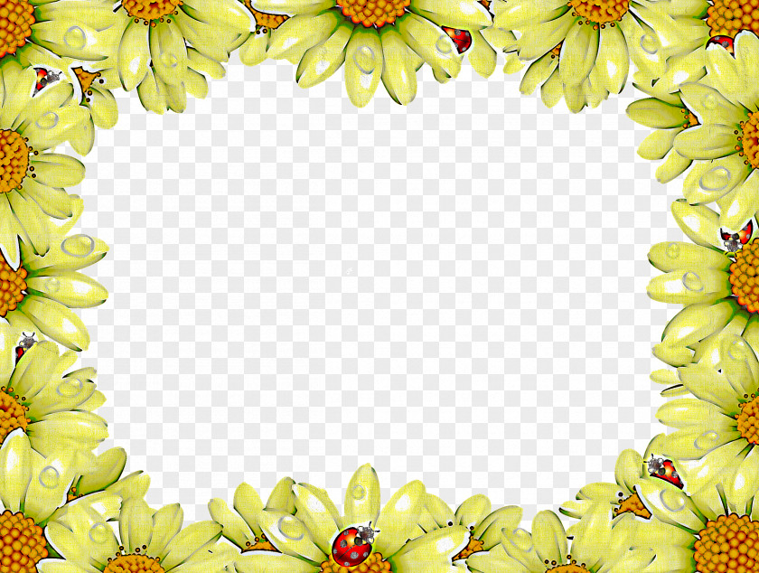 Daisies Frame Flower Floral PNG