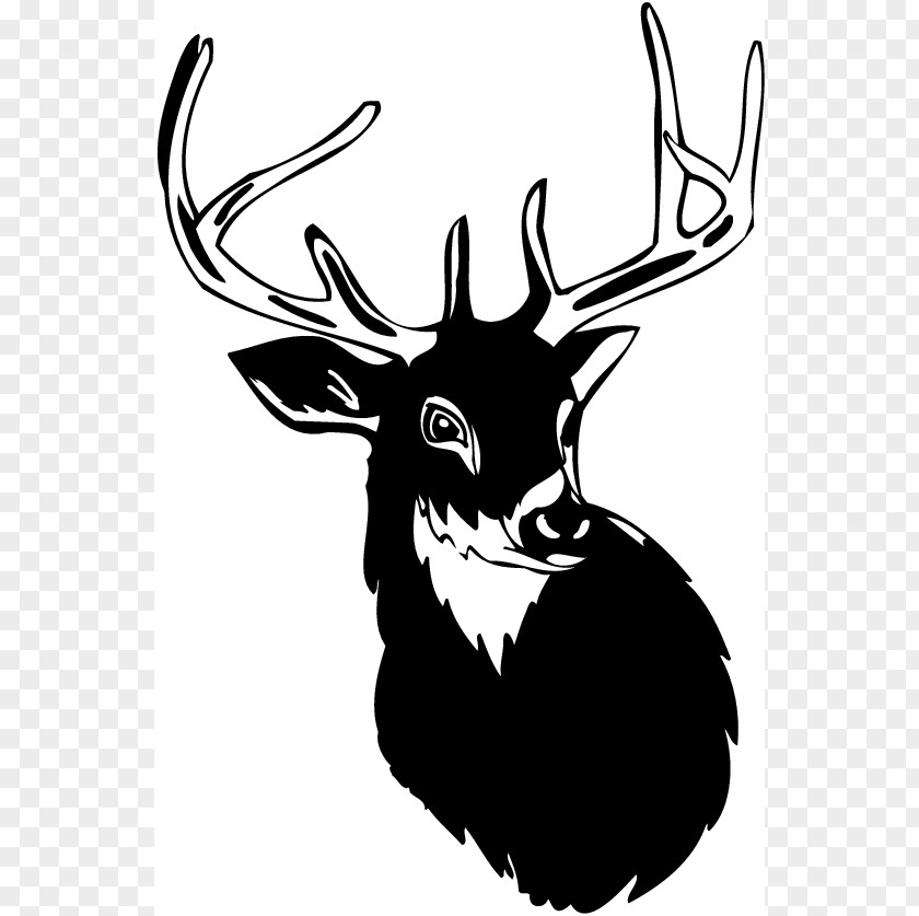 Free Deer Pictures White-tailed Moose Antler Clip Art PNG