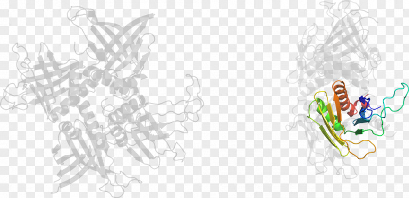 Line Art Graphic Design Drawing PNG