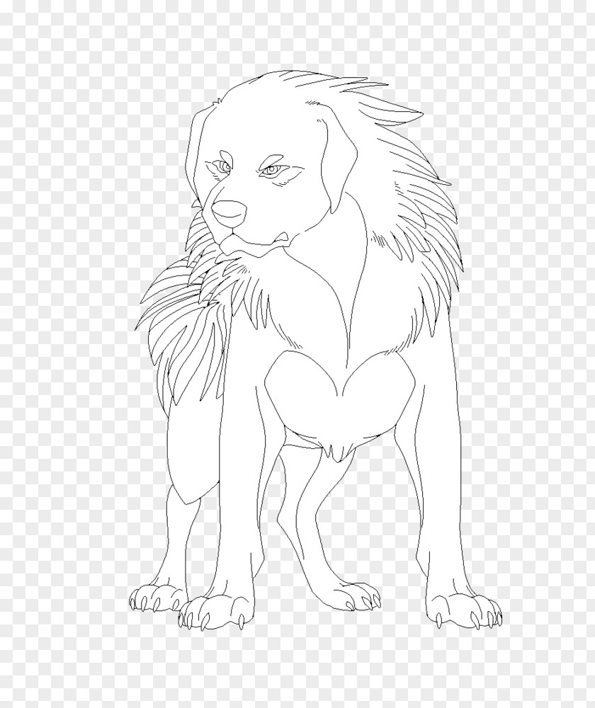 Lion Line Art Cat Sketch PNG