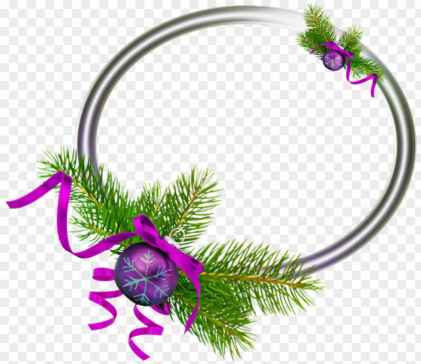 Magenta Pine Family Christmas Decoration PNG