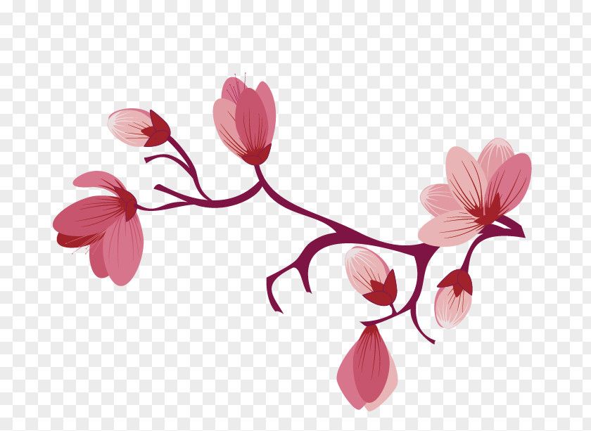 Sakura Flower Cherry Blossom Clip Art PNG