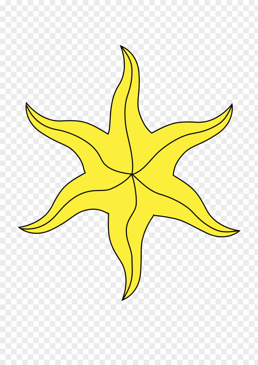 Star Of David Polygons In Art And Culture Heraldry Coat Arms Symbol PNG