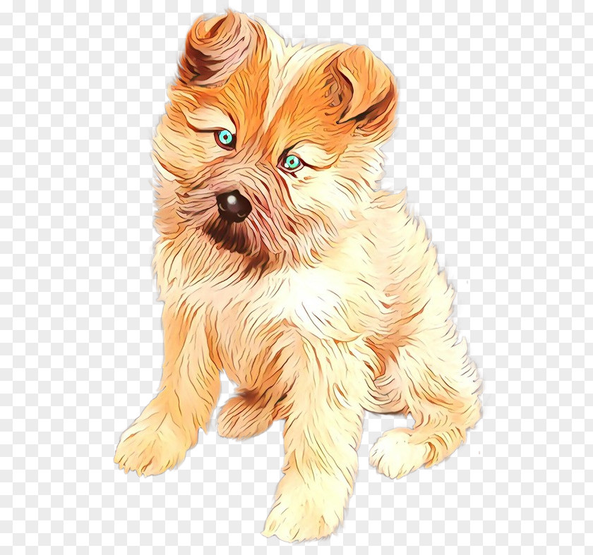 Cairn Terrier Dog Breed Yorkshire Puppy Companion PNG