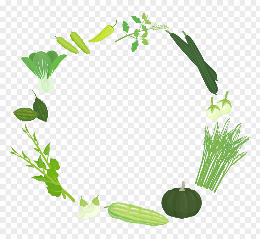 Head Scarf Vegetable Herb Logo PNG