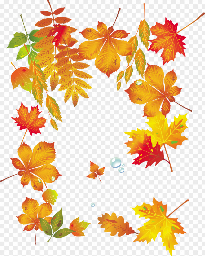 Vector Autumn Leaves Maple Leaf PNG