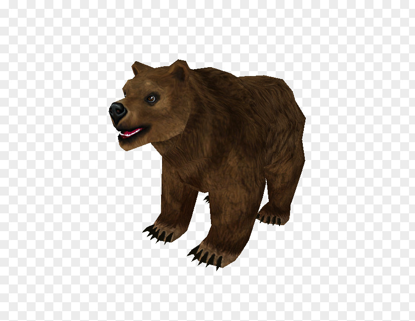 Bear Grizzly Alaska Peninsula Brown Fauna Fur PNG