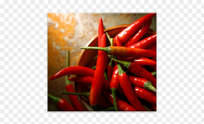 Black Pepper Chili Cayenne Capsaicin Bell PNG