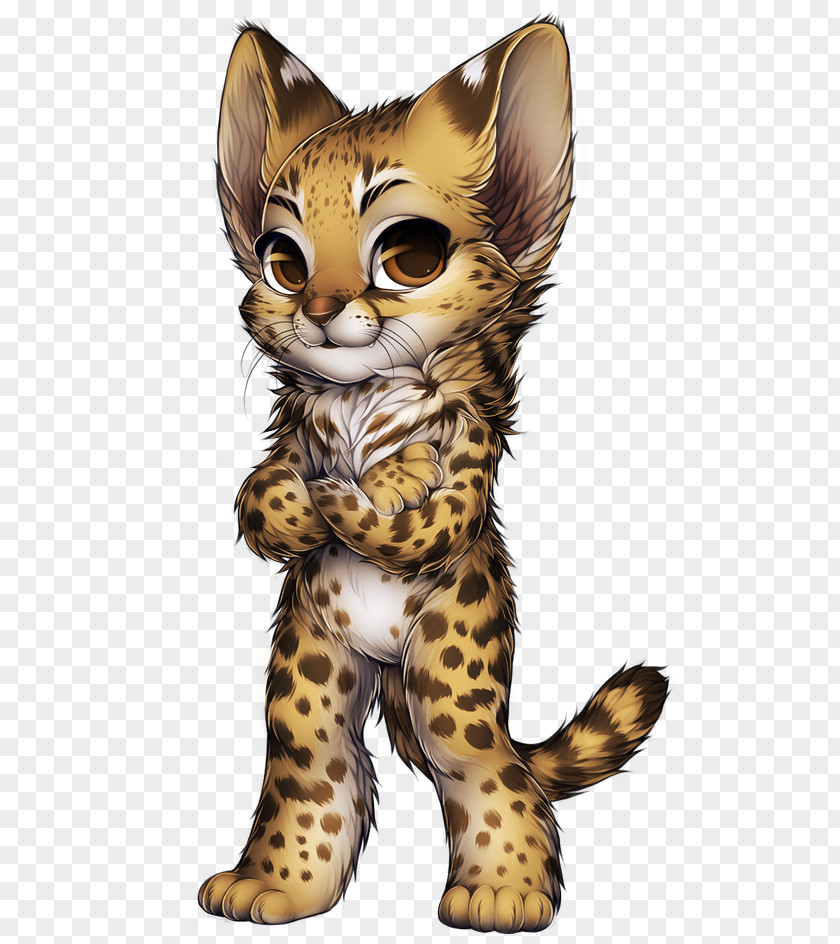 Cheetah Whiskers Wildcat Leopard PNG