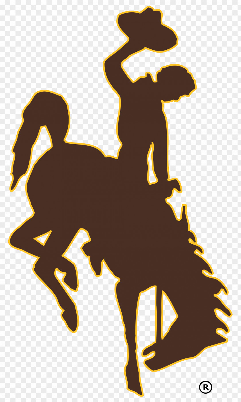 Cowboys Wyoming Football Cowgirls Women's Basketball Baseball University Of Northern Colorado PNG