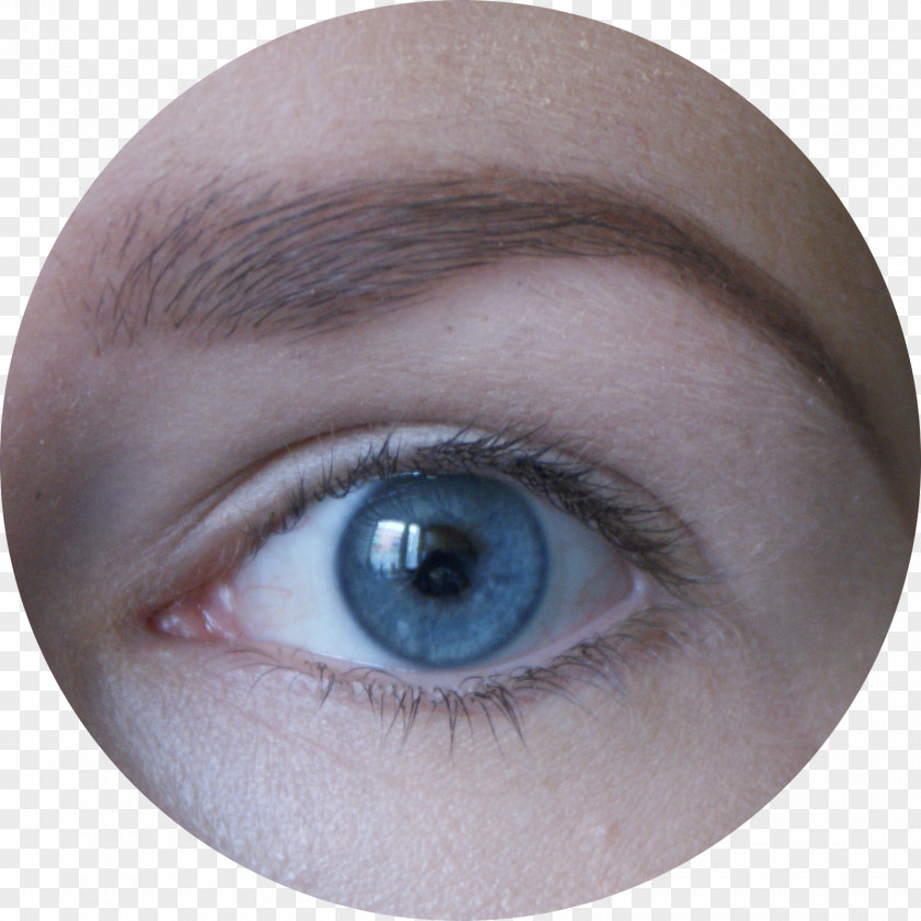 Eye Eyelash Extensions Eyebrow Shadow Forehead PNG