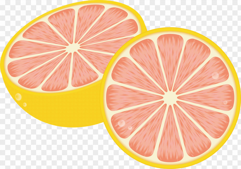 Grapefruit Fruit Illustration Vector Graphics Image Pomelo PNG