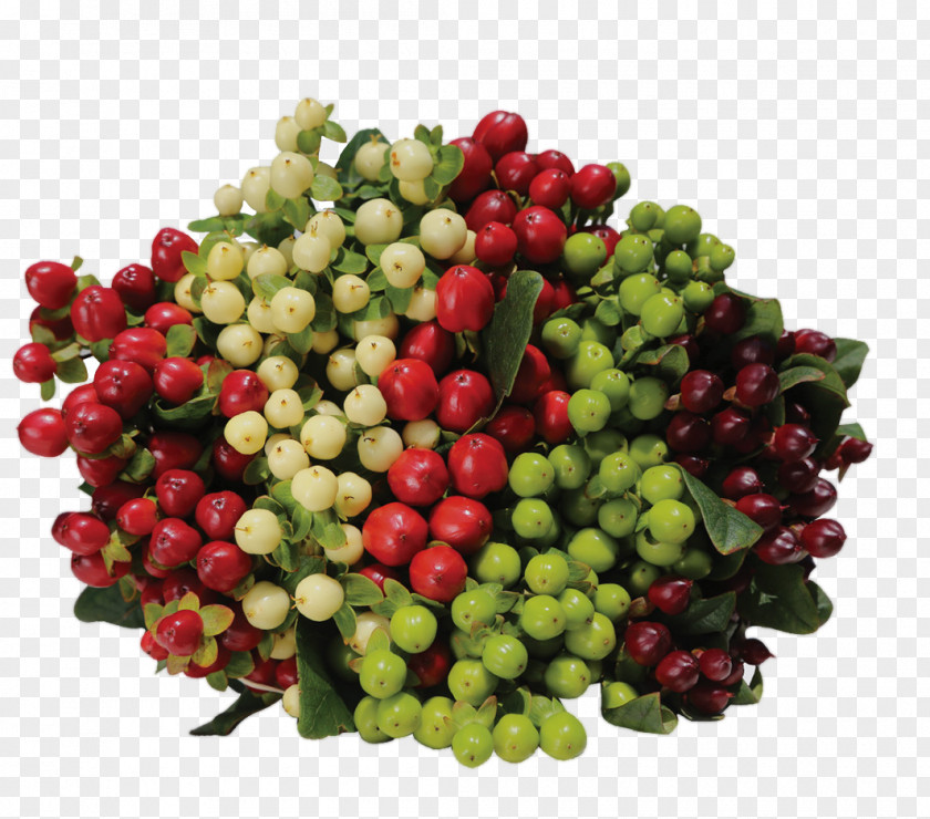 Hypericum Berries Cranberry Perforate St John's-wort Lingonberry Flower Food PNG