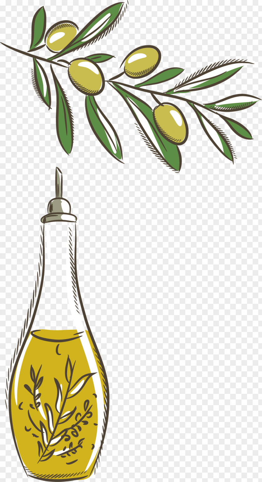 Plant Bottles Bottle Olive Oil PNG