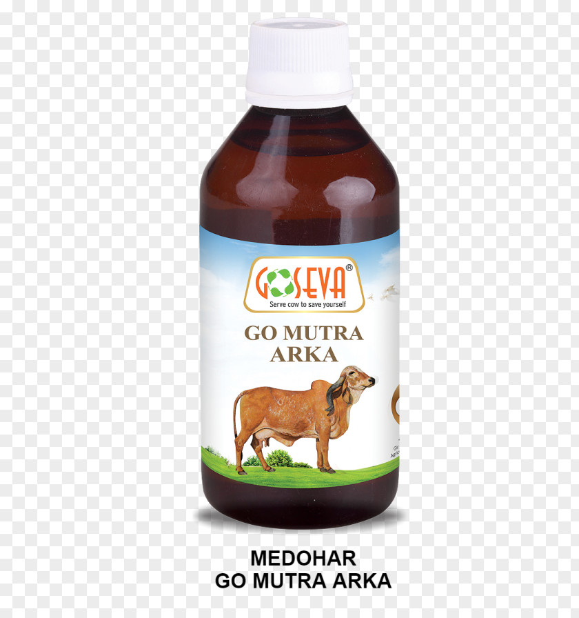 Giloy Cattle Gomutra Urine Panchagavya Cow Dung PNG