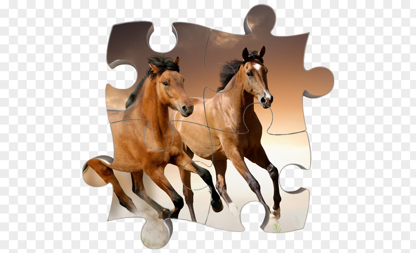 Jigsaw Best Games Gypsy Horse Gallop Desktop Wallpaper Stallion Natural Horsemanship PNG