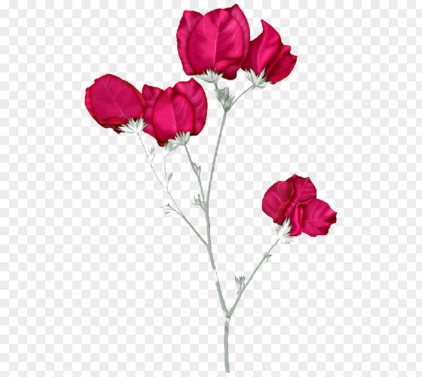 Jo Garden Roses Pink Flowers Clip Art PNG