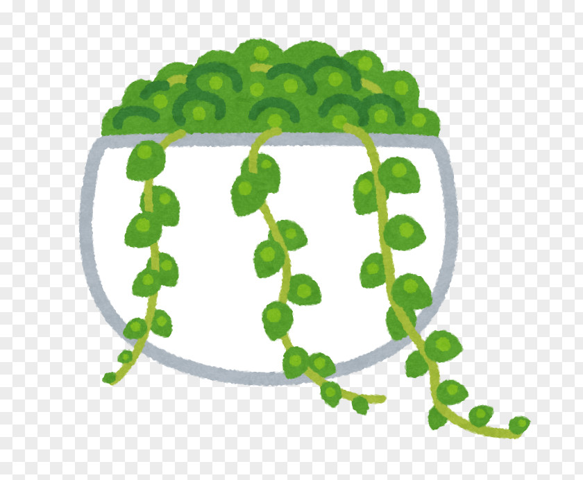 Post It Green 阿嬤的故鄉 Houseplant Succulent Plant Leaf PNG