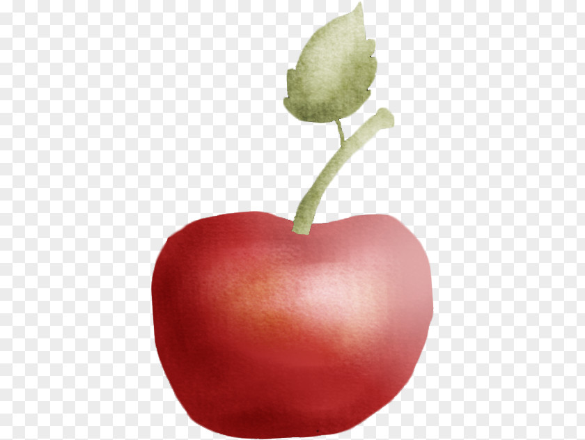 Painted Apple Auglis PNG