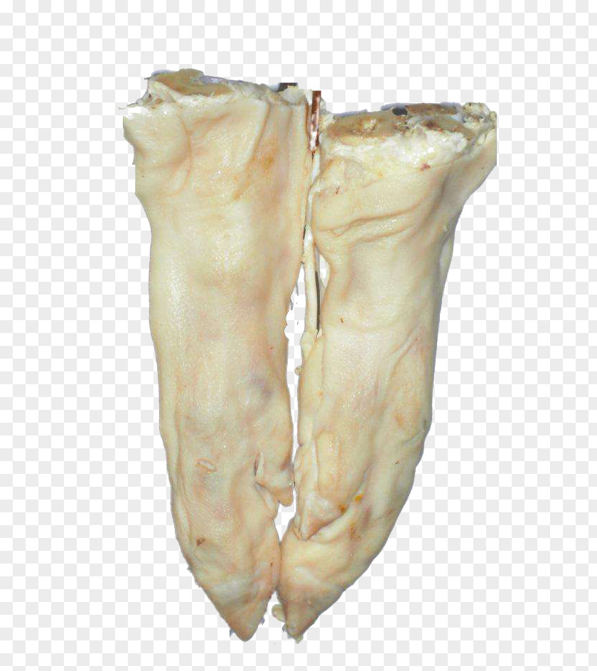 Pork Feet Frozen Pig Food Domestic Pigs Trotters PNG