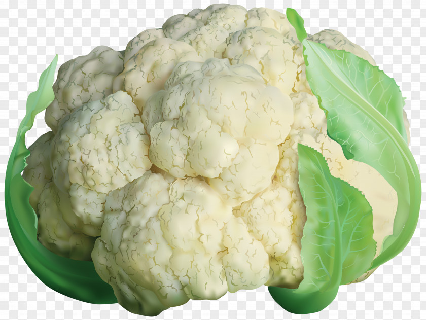 Cabbage Cauliflower Broccoli Brussels Sprout Clip Art PNG