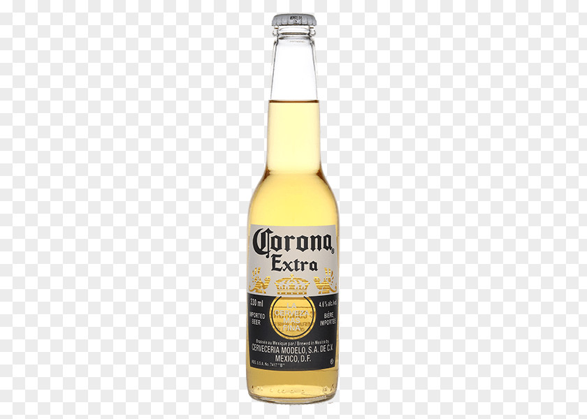 Corona Bottle PNG Bottle, Extra bottle illustration clipart PNG