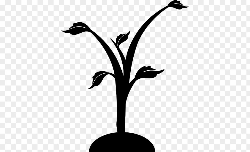 Growing Seed Tree Download Clip Art PNG