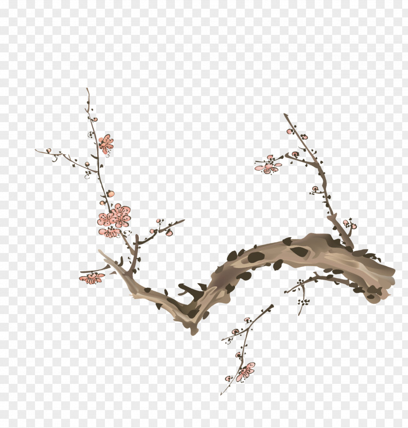 Plum Flower Blossom Download PNG