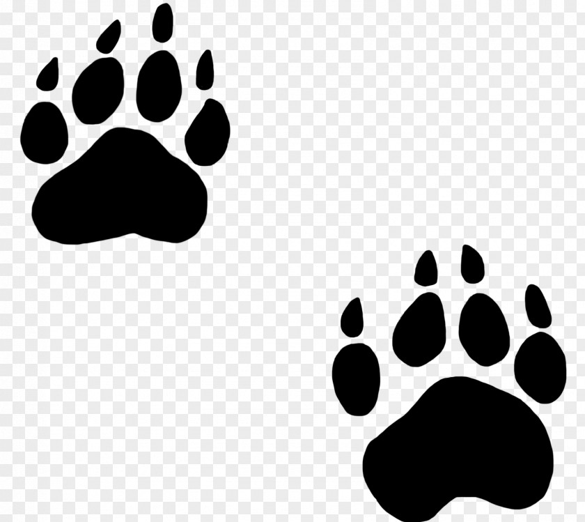 Animal Footprints Cliparts Bear Paw Dog Cat Clip Art PNG
