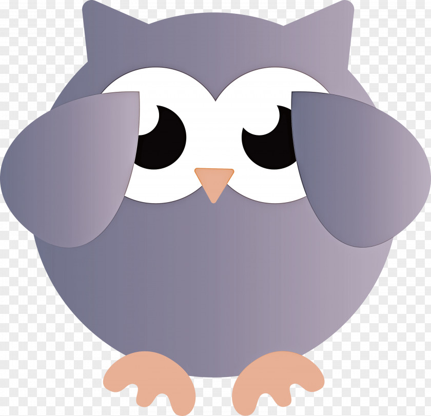 Birds Beak Cartoon Owl M Bird Of Prey PNG