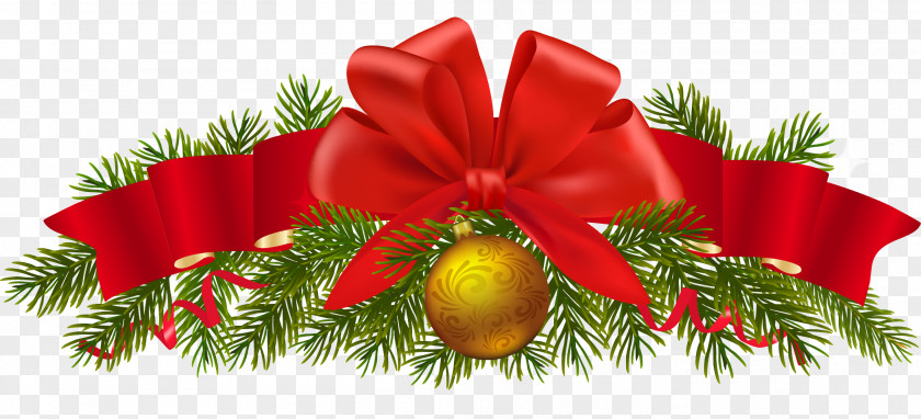Christmas Decoration And Holiday Season Ornament PNG