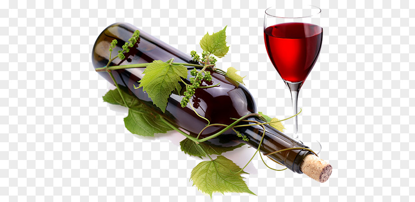 Copa Vino Red Wine Common Grape Vine Bottle Glass PNG