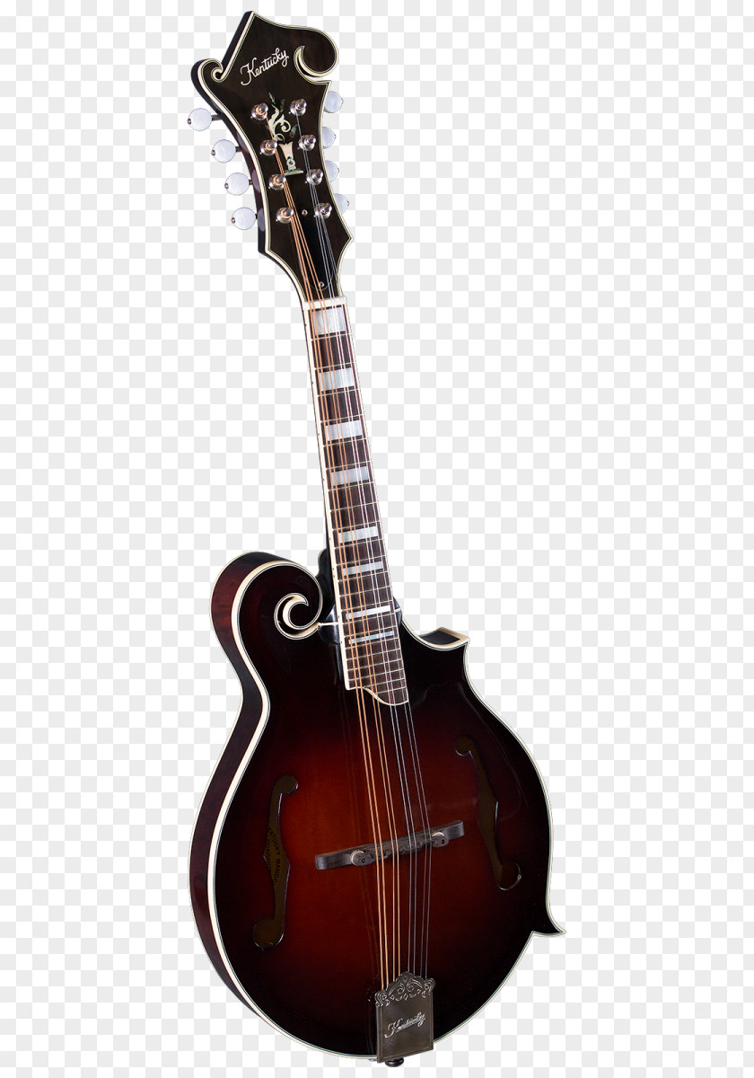 Guitar Mandolin Fingerboard Sunburst Banjo PNG
