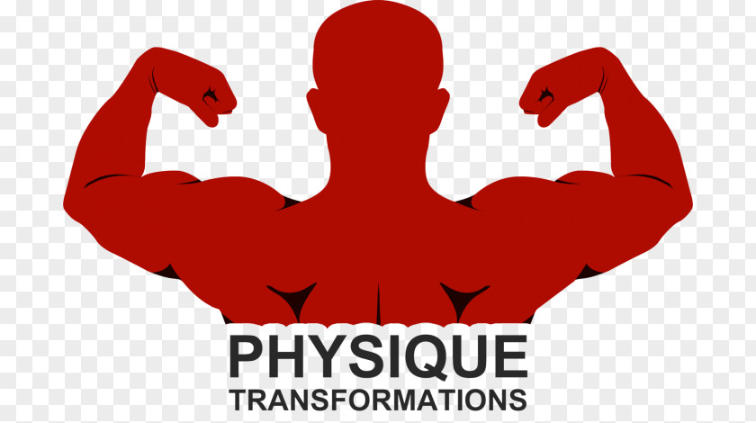 Logo Font Muscle Physique Transformations RED.M PNG