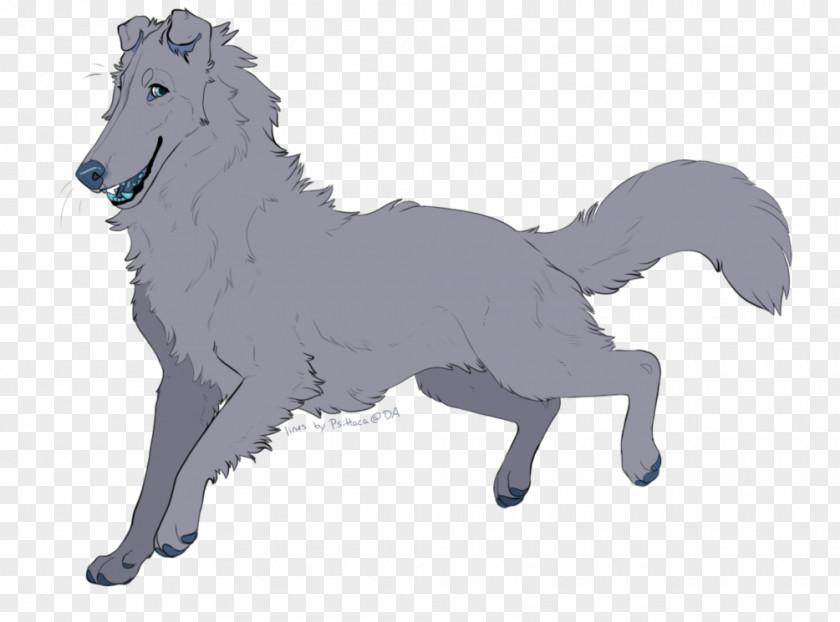 Short Haired Border Collie Mustang Art Rough Pony Stallion PNG