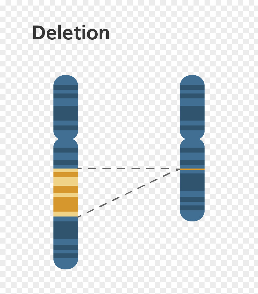 Genetic Material Chromosome Abnormality Deletion DiGeorge Syndrome Mutation PNG