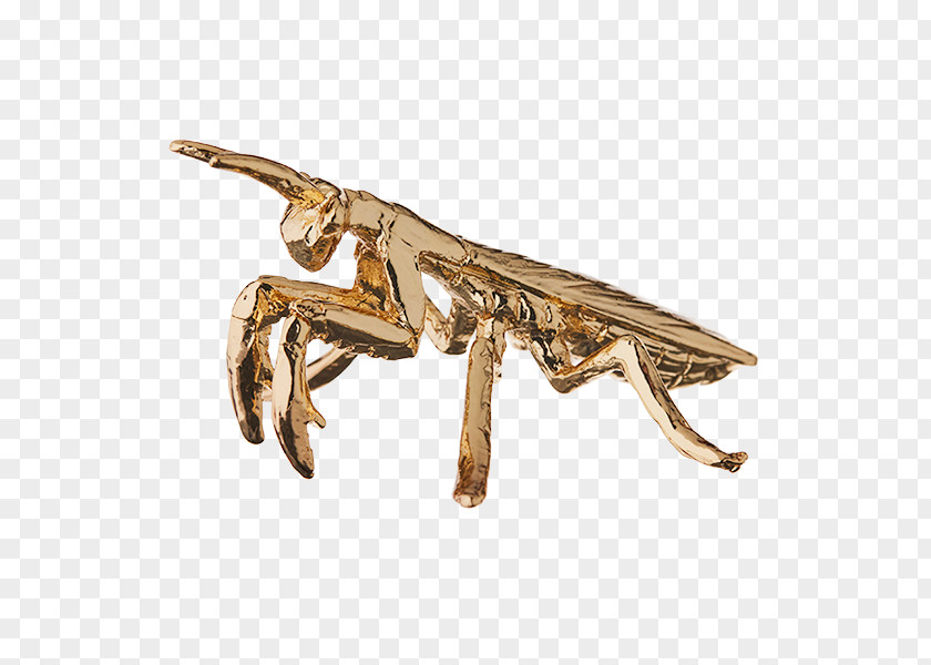 Gold Plating Insect Australia Post PNG