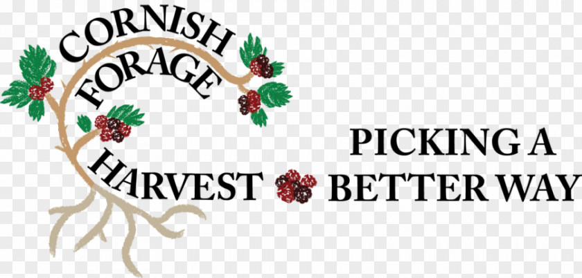 Harvest Rowan Berries Christmas Tree Logo Day Brand Ornament PNG
