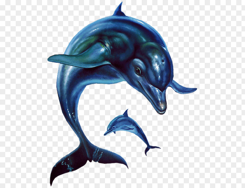 Hayden Panettiere Ecco The Dolphin: Defender Of Future Ecco: Tides Time Sega CD PNG