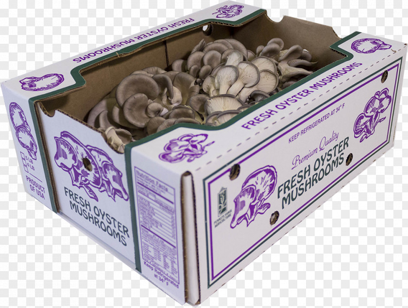 Hotel The Oyster Box Mushroom Quality PNG