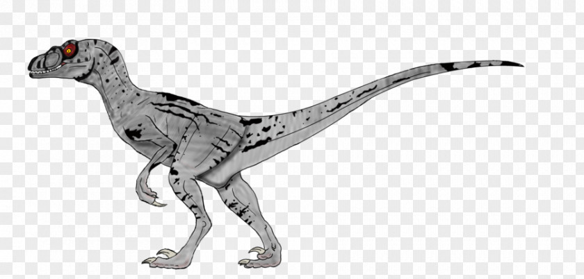 Jurassic Park Velociraptor Deinonychus Drawing PNG