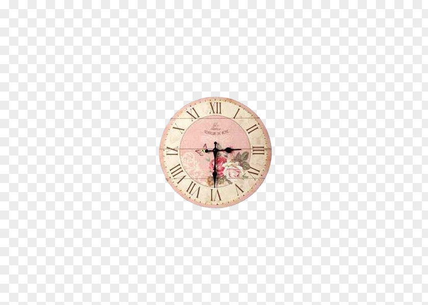 Pink Clock Garden Roses PNG