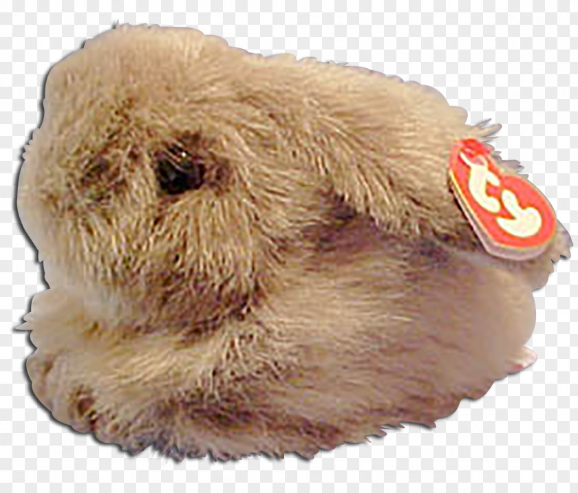 Rabbit Hare Fur Snout PNG