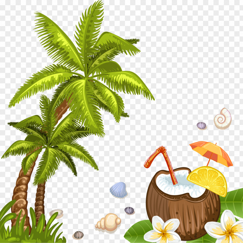 Vector Coconut Trees Water Beach Arecaceae PNG