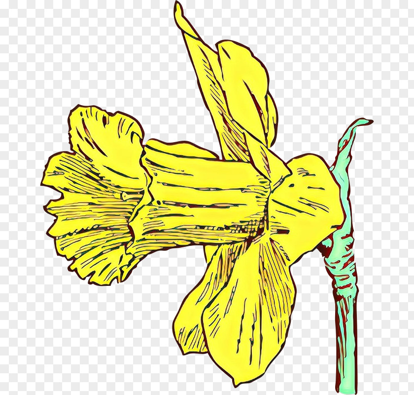 Yellow Flower Plant Narcissus Daylily PNG